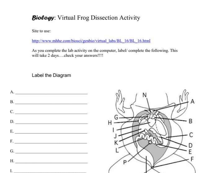 Frog dissection coloring answer key