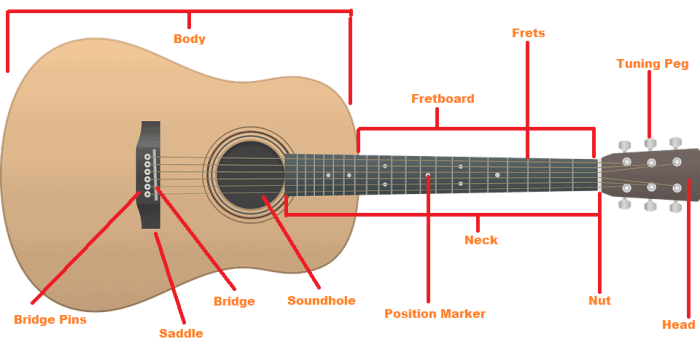 Parts of an acoustic guitar diagram