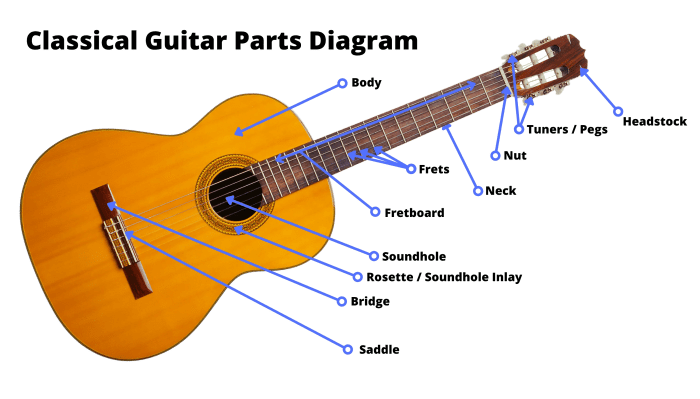 Guitar acoustic parts diagram electric guitars string labeled nylon diagrams different right two steel left