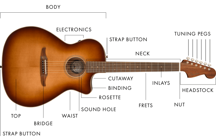 Parts of an acoustic guitar diagram