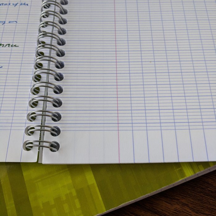 Marie antoinette's french ruled paper: 50 sheets composition style