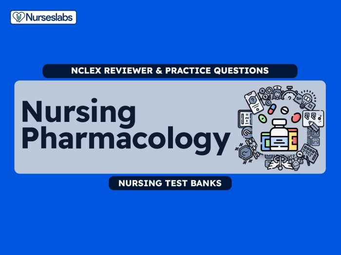 Lehne's pharmacology for nursing care test bank